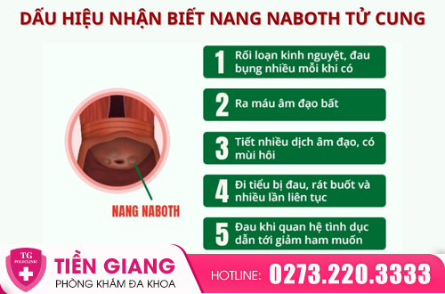 Những dấu hiệu điển hình của nang Naboth.