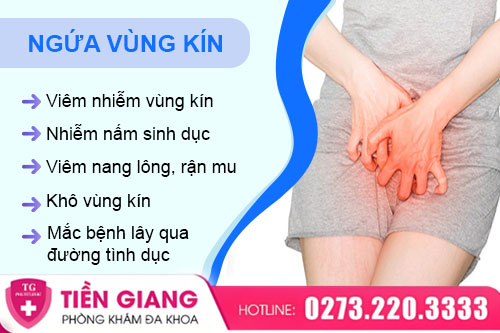 Ngứa Vùng Kín Là Bị Gì, Làm Sao Để Giảm Khó Chịu?